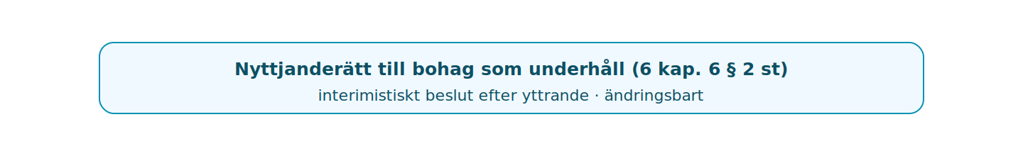 Nyttjanderätt till bohag behandlas som en underhållsfråga och kan beslutas provisoriskt.