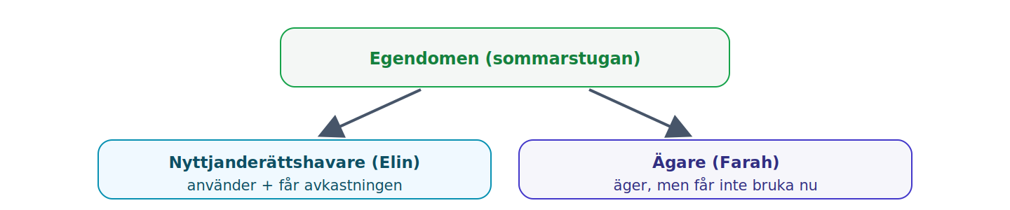 Vid nyttjanderättslegat skiljs bruk och avkastning (nyttjanderättshavaren) från äganderätten (ägaren); 3–9 §§ fyller ut förhållandet.