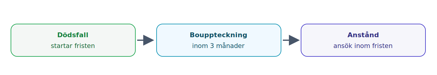 Bouppteckningsplikten och tremånadersfristen