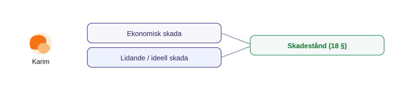 Skadestånd omfattar även ideell skada