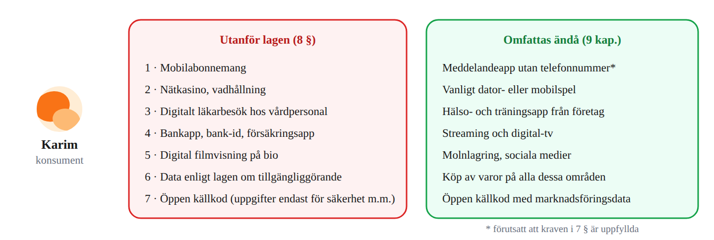 Undantagen i 1 kap. 8 § – vad som faller utanför och vad som ändå omfattas