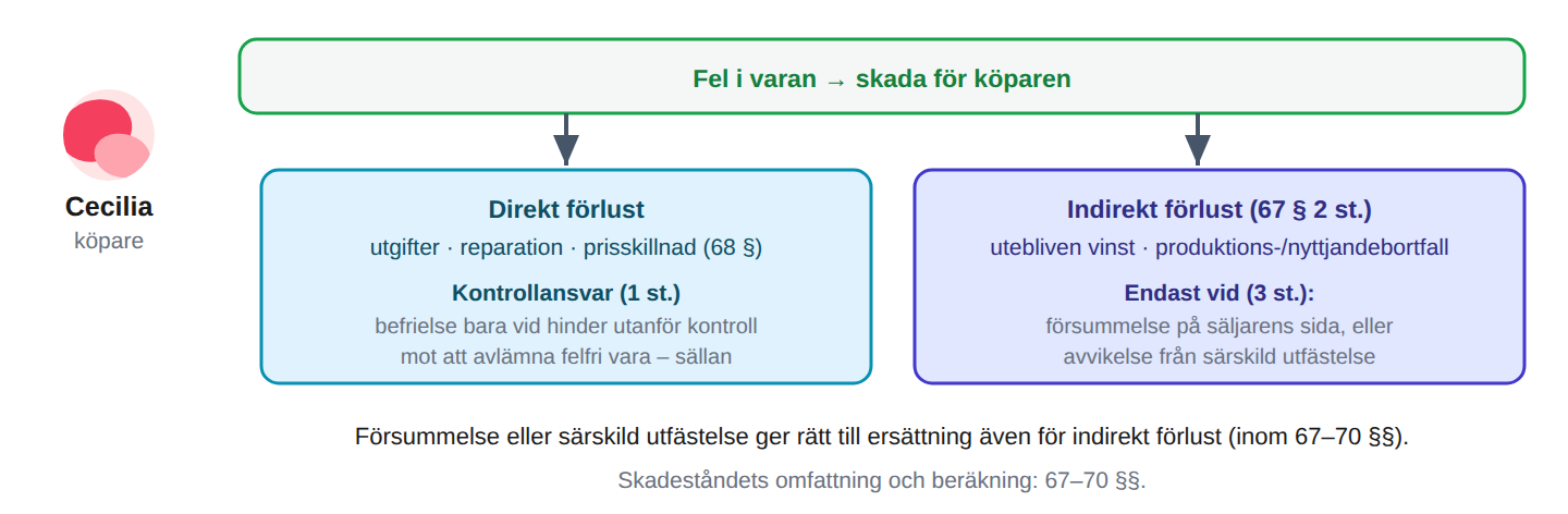 Kontrollansvar för direkta förluster – mer vid försummelse eller utfästelse